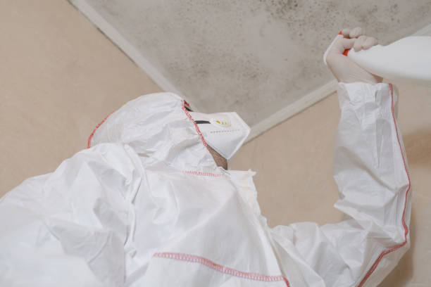 Best Industrial Mold Remediation in Renton, WA